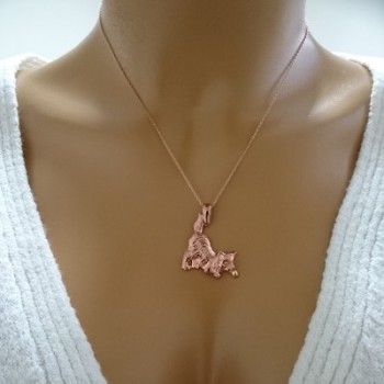 14K Gold Cat Necklace