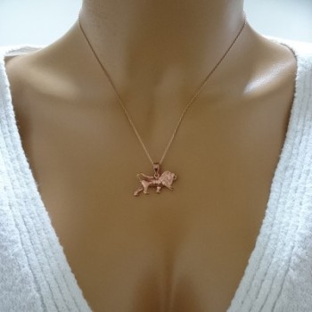 14K Gold Lion Necklace