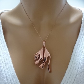 14K Gold Puma Necklace